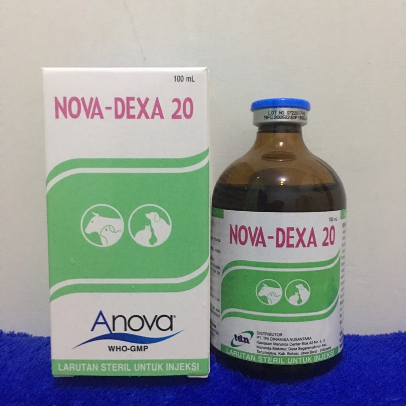 Jual Selexon Dexamethasone 0 5 Mgobat Terlengkap & Harga Terbaru Mei ...