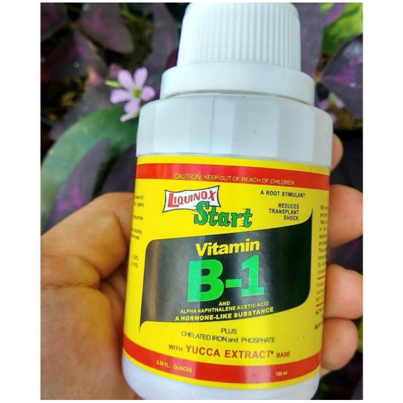 Jual Vitamin B1 Anti Stres Tanaman-100ml | Shopee Indonesia