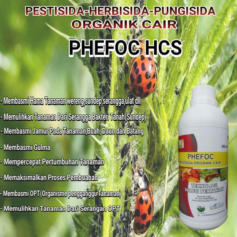 Jual Pembasmi Hama Tanaman Phefoc Hcs Insektisida Pestisida Herbisida Fungisida Organik Cair 3213