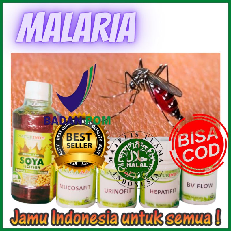Jual resep obat malaria herbal bpom halal melawan gejala malaria