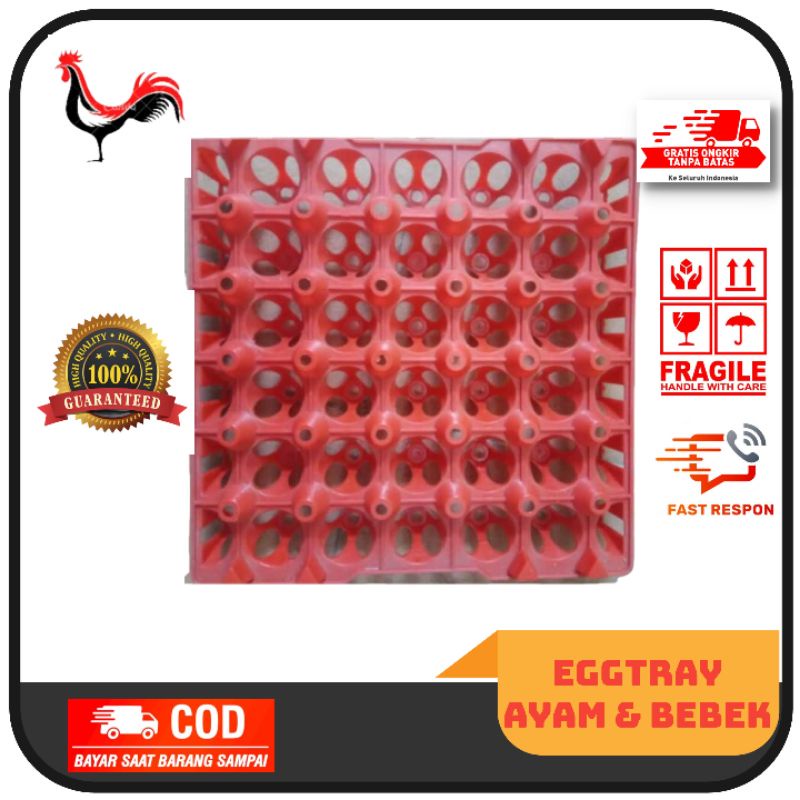 Jual Rak Telur SUPER BESAR SUPER TEBAL DAN AWET/ Tempat Telur / Eggtray ...