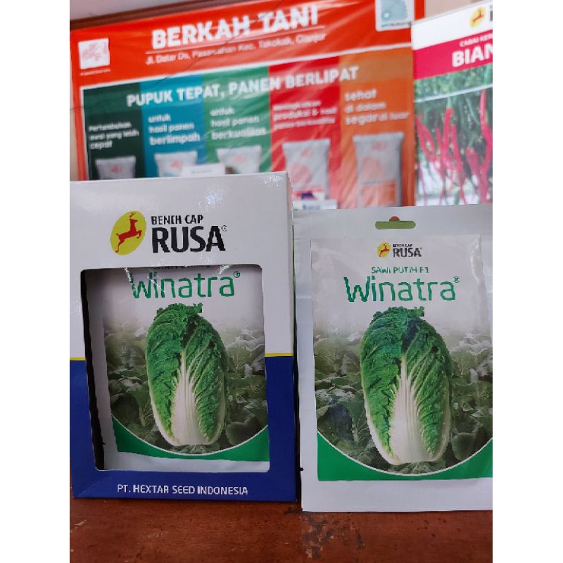 Jual Benih Sawi Putih Biji Sawi Putih Bibit Pecai Winatra F Gram Shopee Indonesia