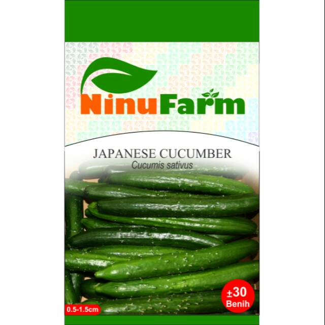 Jual Benih Timun Jepang Japanese Cucumber 30Seeds | Shopee Indonesia