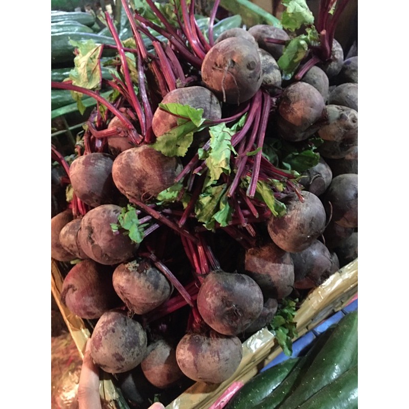 Jual Buah / Sayur Bit 1kg | Shopee Indonesia
