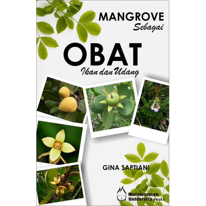 Obat Mangrove Jual Online: Antara Harapan dan Kekhawatiran