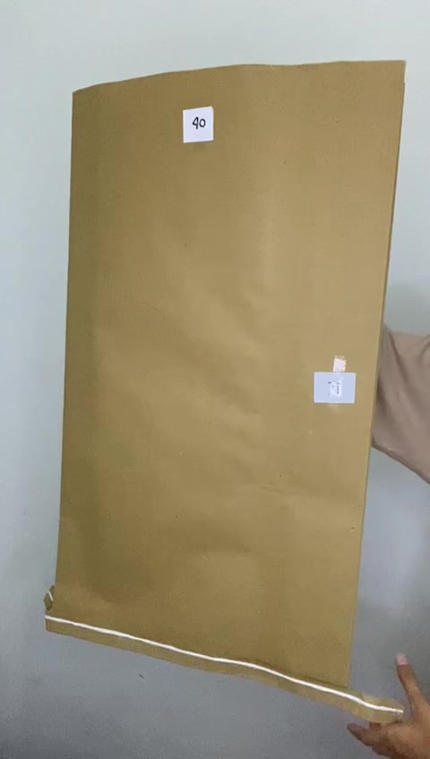 Jual Kantong Sak Semen / Kraft Woven Laminating / Paper Sak uk 40 x 9 x ...