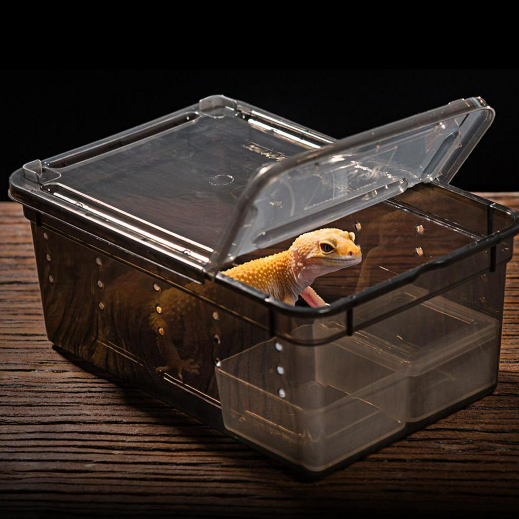 Jual Kandang Tarantula Enclosure Tarantula Box Reptil S 19x12.5x7.5cm ...