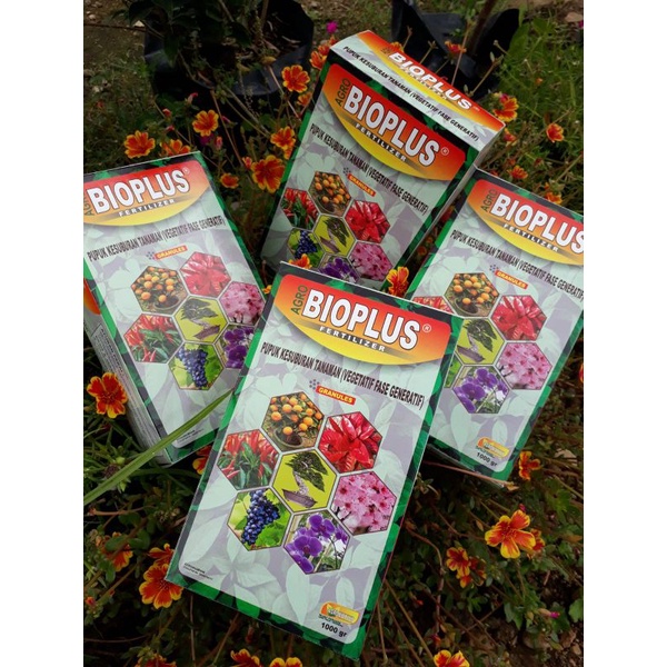 Jual BioPlus(Grey-F) | Shopee Indonesia