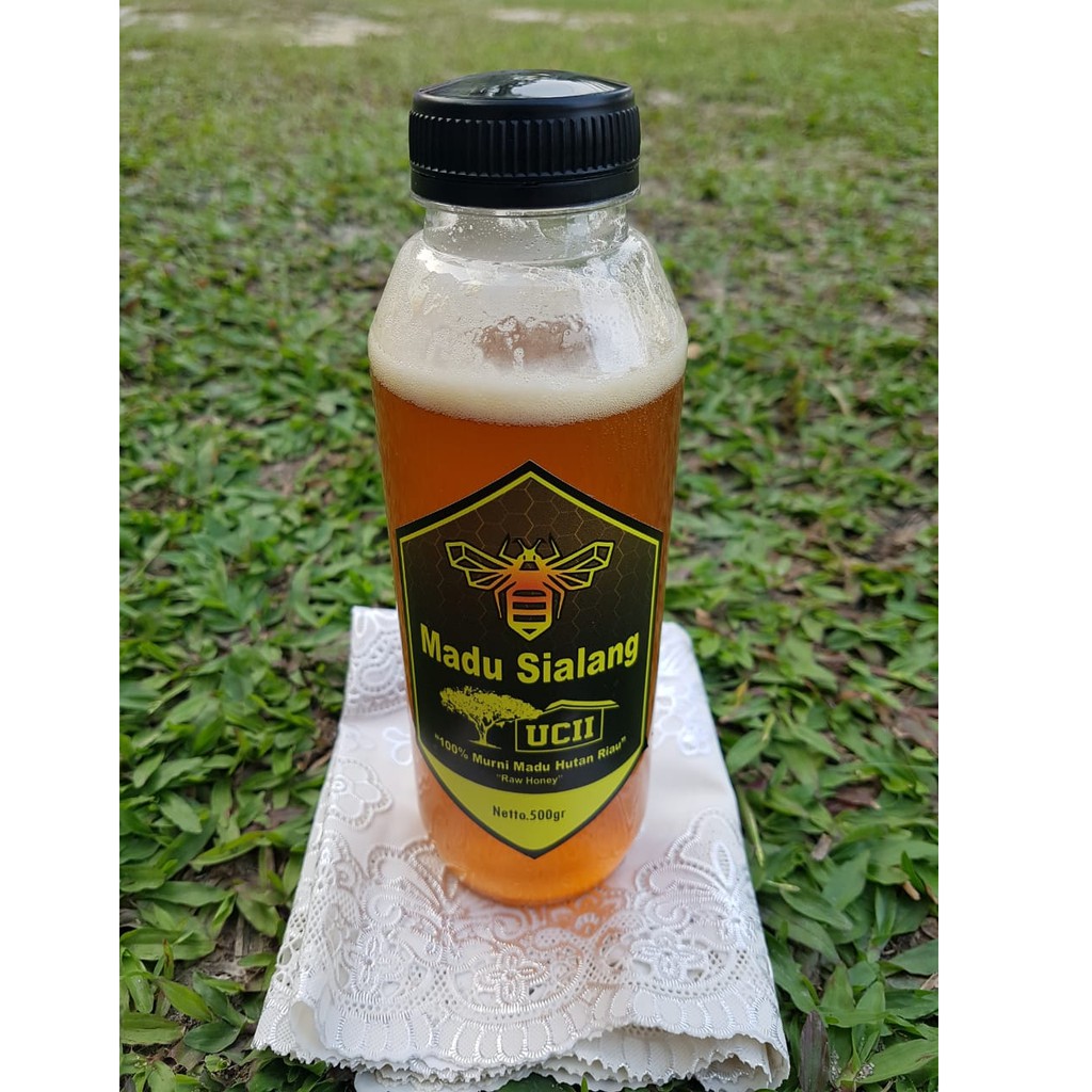 Jual Madu Hutan Sialang Ucii Murni Madu Hutan Riau High Quality 650gram Shopee Indonesia 5281