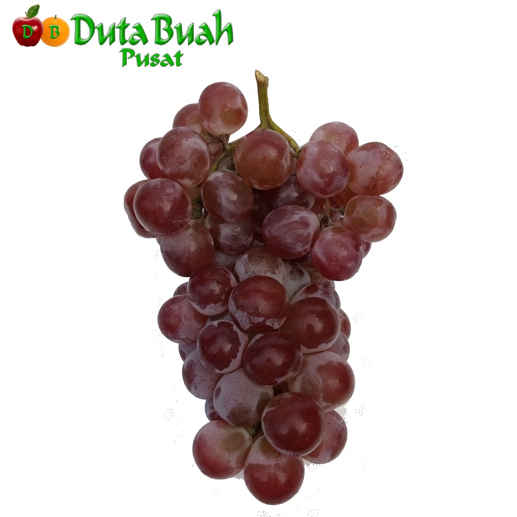 Jual DUTA BUAH Anggur Red Globe Premium (+-350g-500g/pack) | Shopee ...