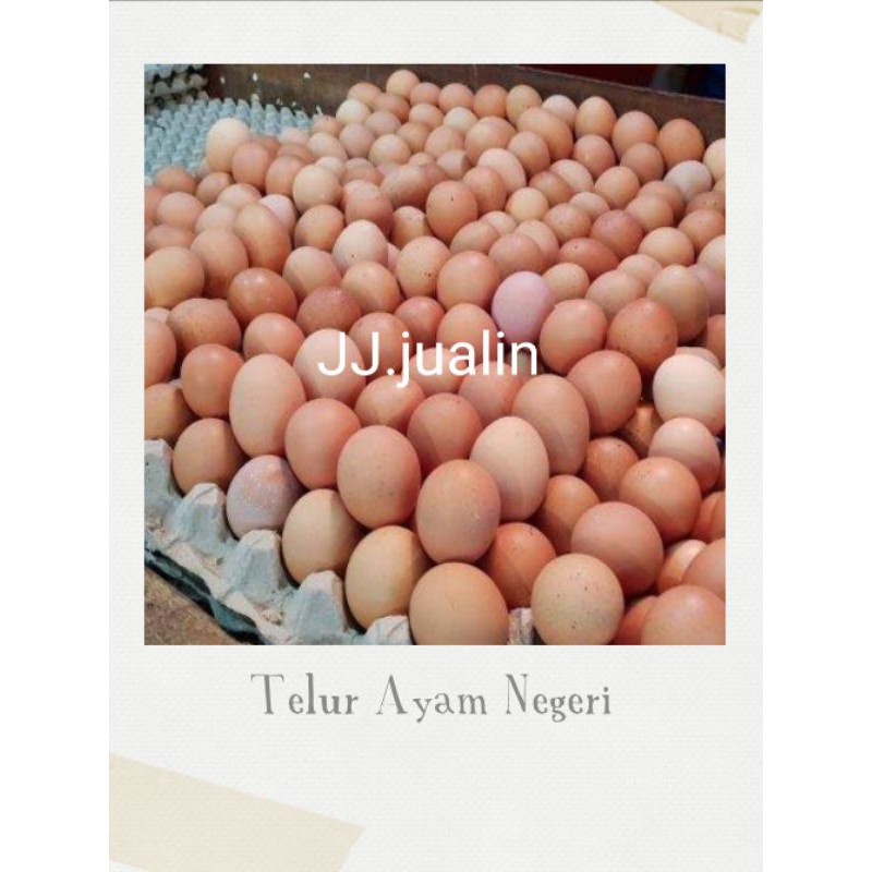 Jual Telur Ayam Negeri Telur Konsumsi Telur Ayam Negri Shopee Indonesia 2471