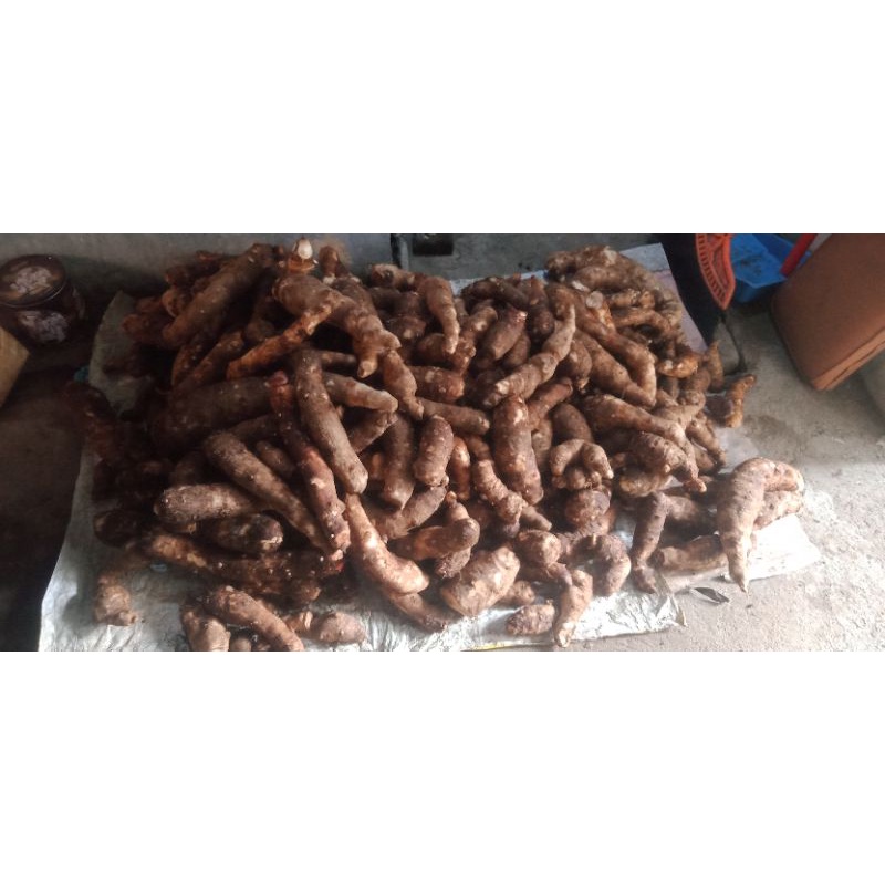 Jual bothe 1kg | Shopee Indonesia