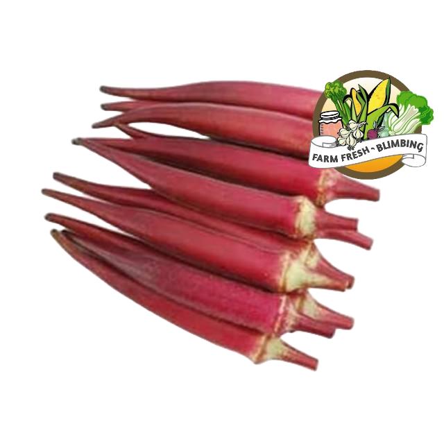 Jual Sayur Okra Merah Fresh / Red Lady Finger 250 gram | Shopee Indonesia