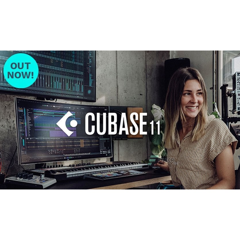 Jual Steinberg Cubase 11 PRO & Wavelab 10 Full version | Shopee Indonesia