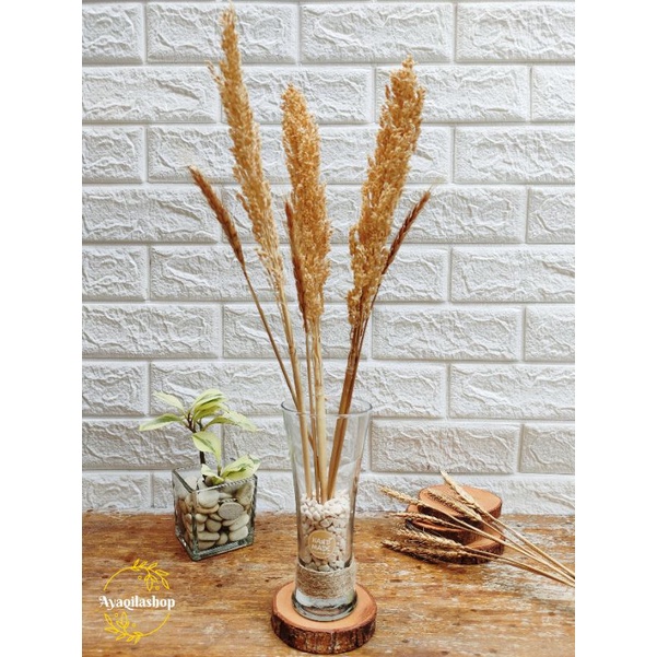 Jual VAS BUNGA KACA VERONICA TALI RAMI STICKER / VAS KACA ALA KOREA ...