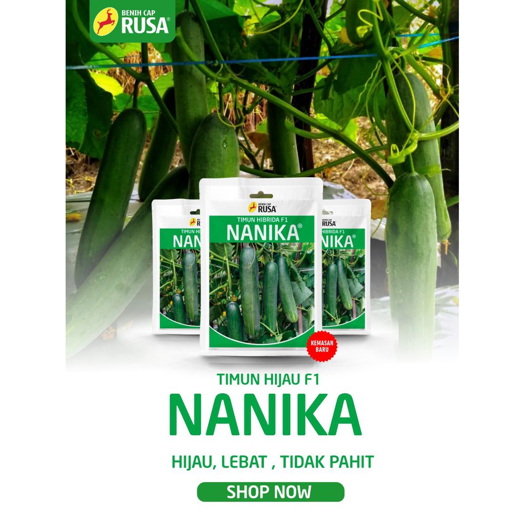 Jual Benih Cap Rusa - 1000 BENIH BIBIT BIJI TIMUN HIJAU F1 NANIKA - 10 ...