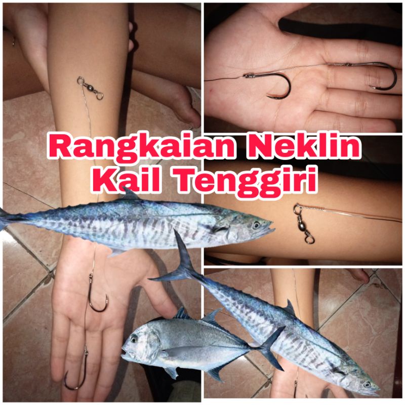 Jual Rangkaian Pancing Tenggiri Dan Baracuda Shopee Indonesia