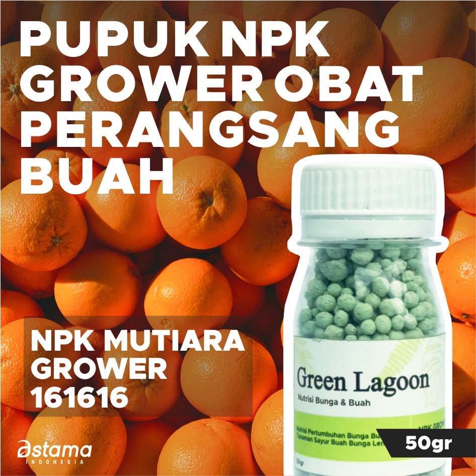 Jual Pupuk Tanaman Hias Npk Mutiara Grower Gr Shopee Indonesia