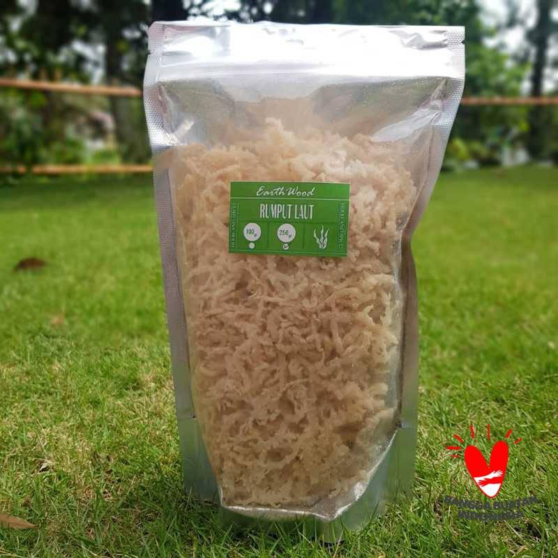 Jual RUMPUT LAUT KERING ORIGINAL / OBAT / TULANG | Shopee Indonesia