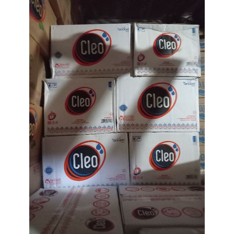 Jual Cleo Air Mineral Gelas 220ml 1 Dus Isi 40 Cup Shopee Indonesia 9761
