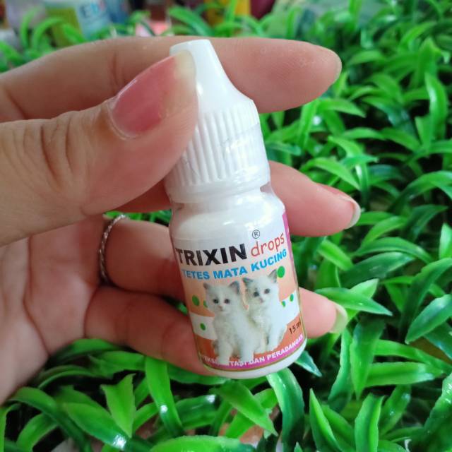 Jual (CAT) Trixin Drops Obat tetes mata kucing | Shopee Indonesia