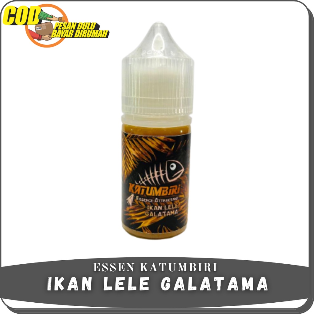 Jual Essen Katumbiri Ikan Lele Indukan Galatama Masteran Anti Boncos