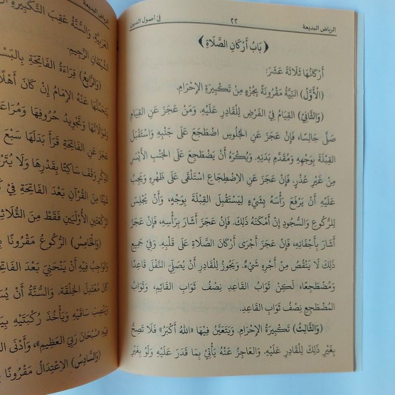 Jual Ar Riyadh Al Badi'ah - Riyadhul Badiah - Riyadul Badi'ah DRI ...