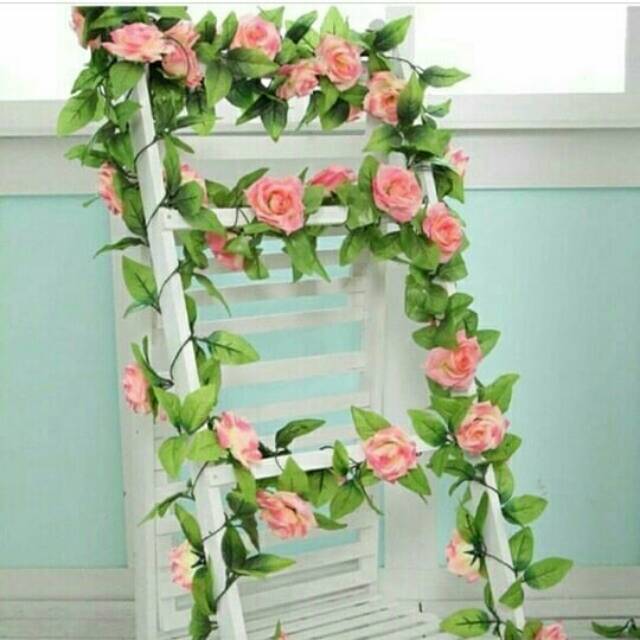 Jual Bunga mawar rambat rose pink | Shopee Indonesia