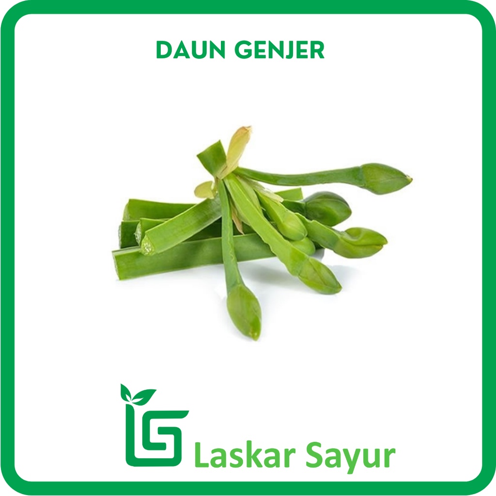 Jual Daun Genjer Segar - Leaves - 250g | Shopee Indonesia