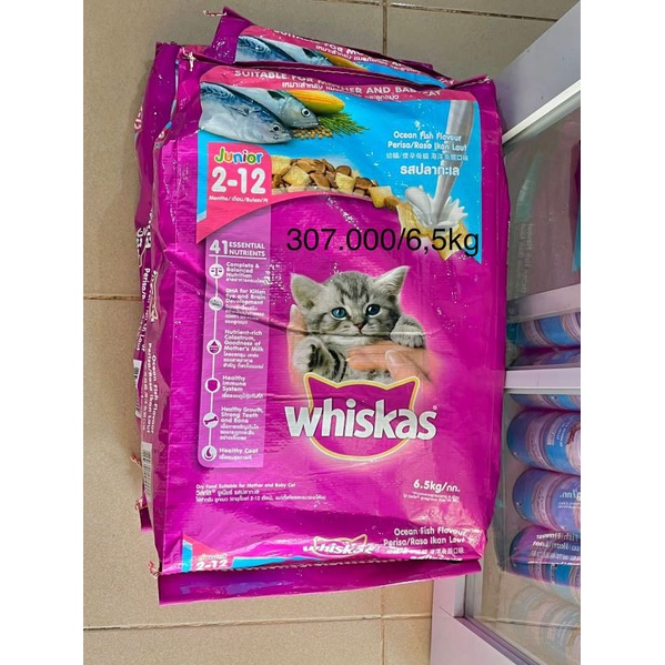 Jual Whiskas Junior Ocean Fish 7kg Shopee Indonesia