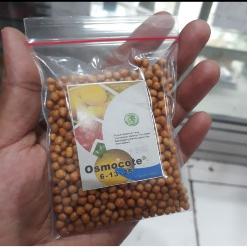 Jual Dekastar Original 100 Pupuk Osmocote 6 13 25 Repacking