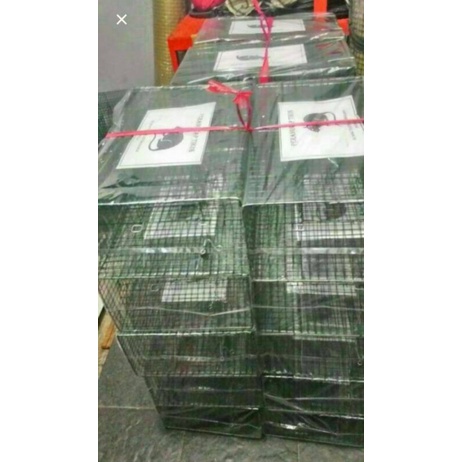 Jual Perangkap / Jebakan Tikus, cecurut, massal, besar, mudah digunakan ...