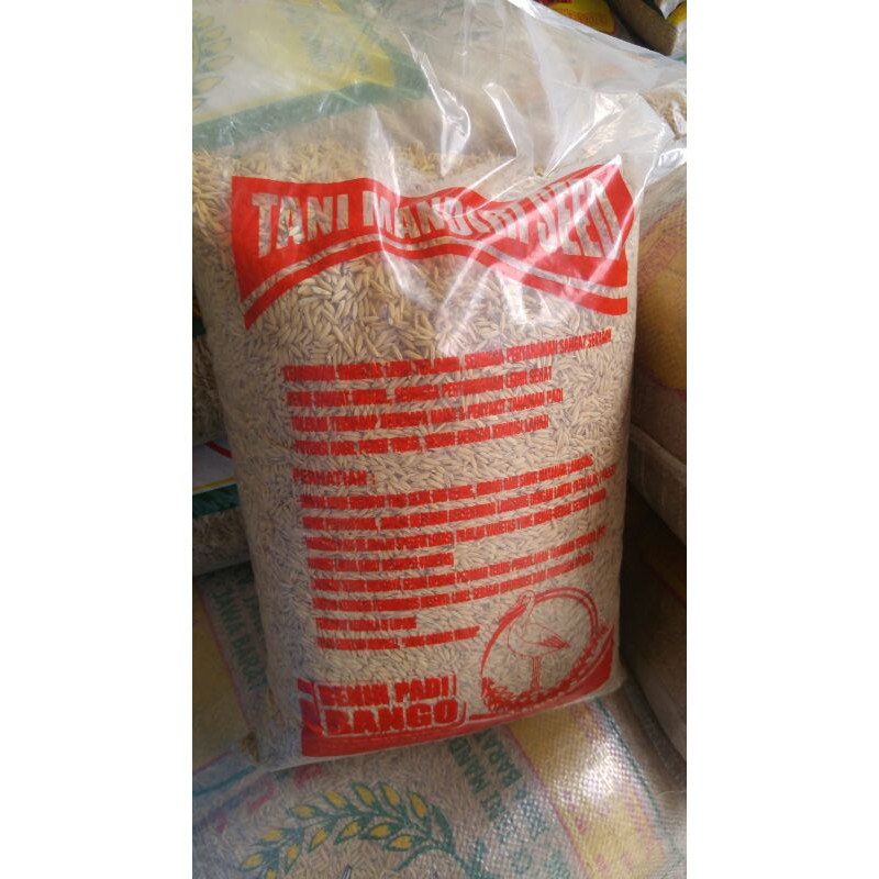 Jual Benih Padi Inpari 32 Unggul Bersertifikat Label Ungul | Shopee ...