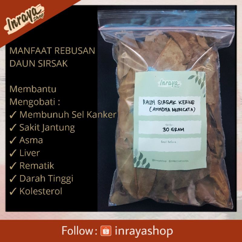 Jual Daun Sirsak Kering Gram Asli Herbal Rempah Jsr Jsr Shopee Indonesia