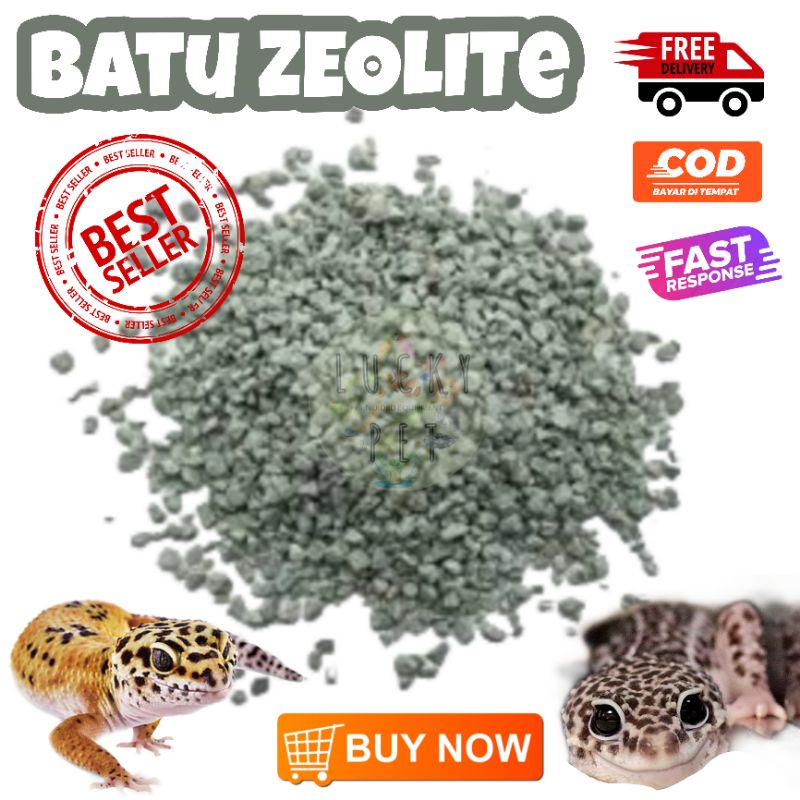 Jual [1 KG] Zeolit Zeolite alas kandang gecko tokek kadal reptil ...
