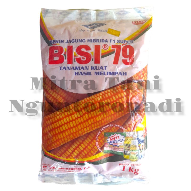 Jual Benih Jagung Hibrida F1 Super Bisi 79 Cap Kapal Terbang 1 Kg ...