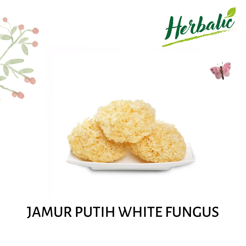 Jual White Fungus Jamur Putih Jamur Es [500gr] | Shopee Indonesia