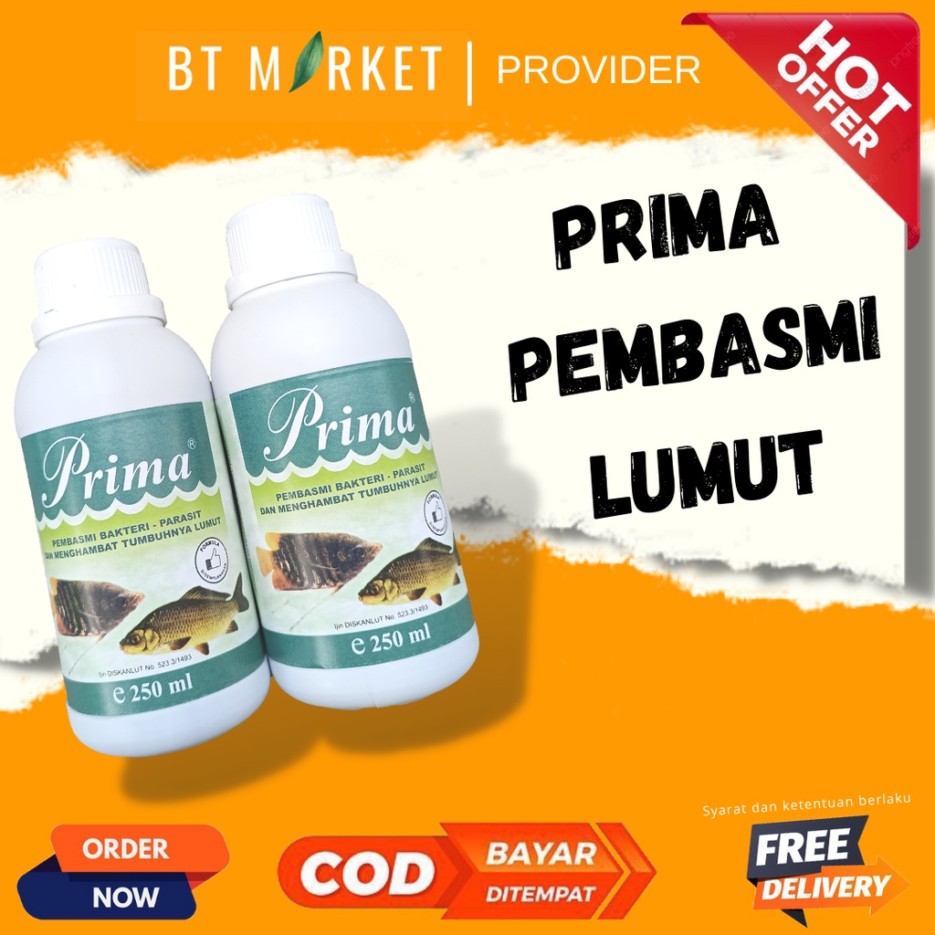 Jual Prima 250 ml Obat Ikan Pembasmi Bakteri Parasit Dan Penghambat ...