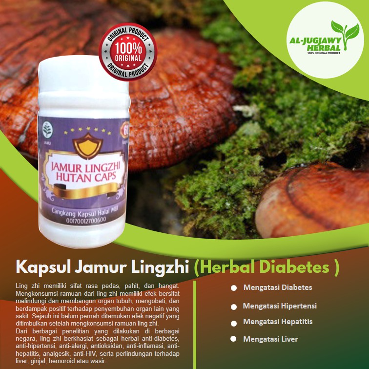Jual Kapsul Jamur Lingzhi Hutan Plus Super Prima Anti Hipertensi
