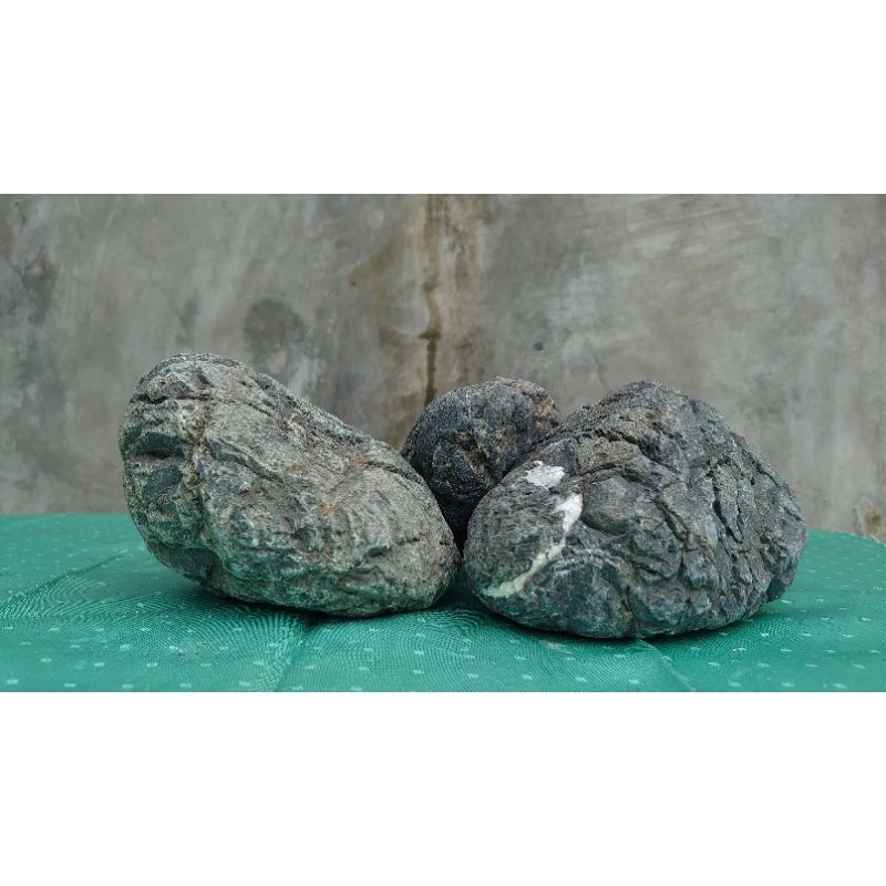 Jual Batu Turly aquascape harga per paket +-3kg | Shopee Indonesia