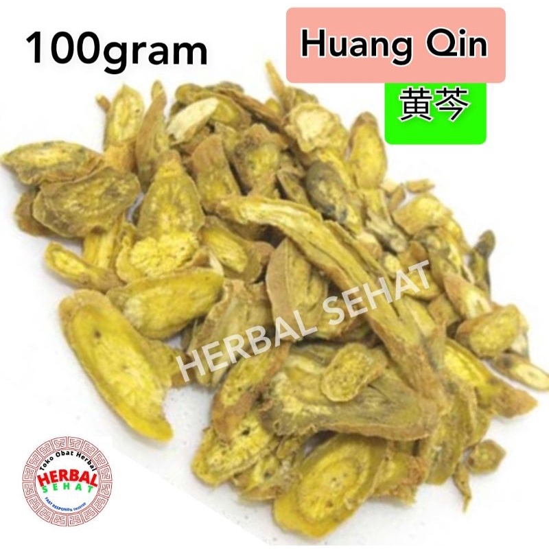 Jual Bong Khim - Huang Qin - Huangqin / Wongkhim - Wong qin / Huang Qin ...