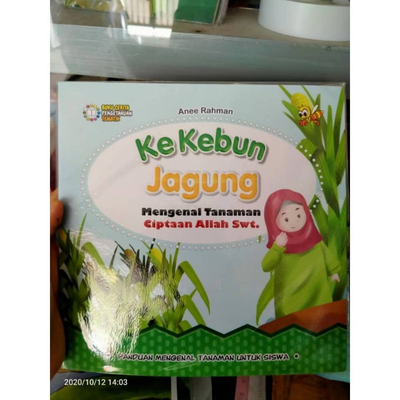 Jual Ke Kebun Jagung Mengenal Tanaman Ciptaan Allah SWT Shopee