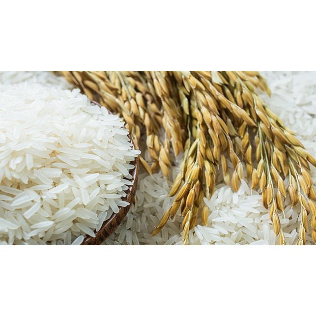 Jual Beras Eceran 1 kg | Shopee Indonesia