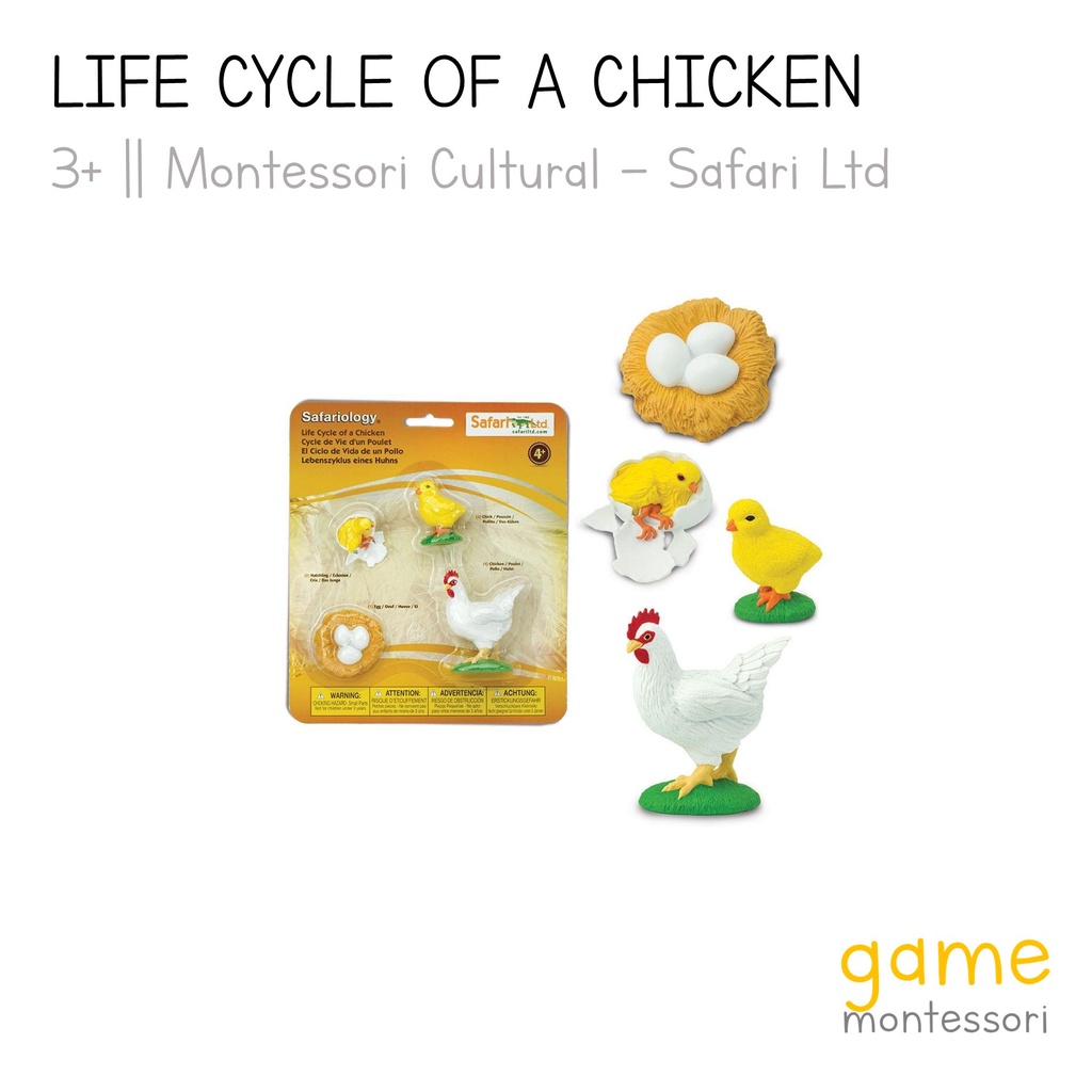 Jual Safari Ltd Life Cycle of a Chicken | Shopee Indonesia