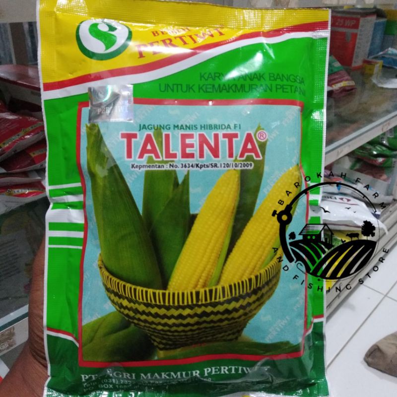 Jual Benih Jagung Manis Talenta Hibrida F1 250gr Shopee Indonesia 4985