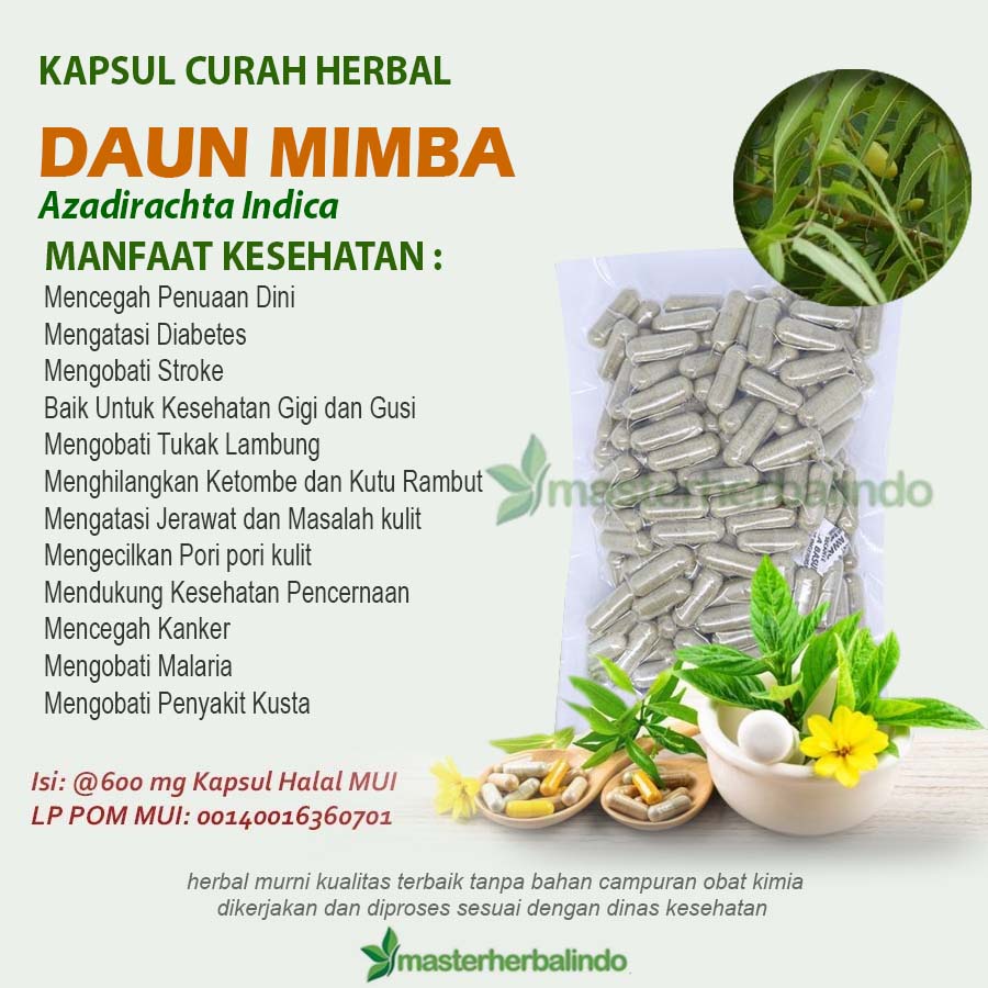 Jual Daun Mimba Kapsul Curah Herbal Mimisan Cacingan Kusta Kutu Rambut