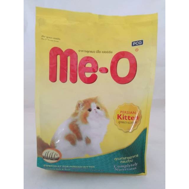 Meo persian kitten 2025
