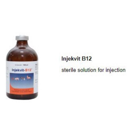 Jual Medion / Vitamin B12 Injeksi 100 ml / Vitamin B12 Untuk Ternak ...