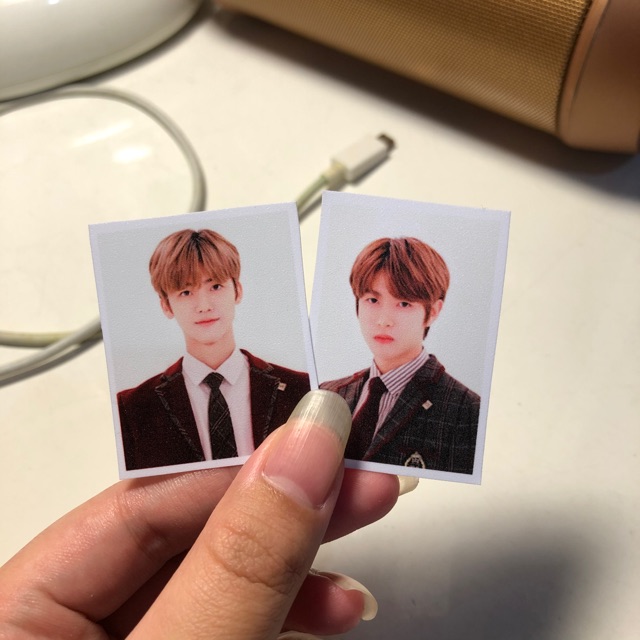 Jual Nct Dream Id Photo Puff Jaemin Chenle Jisung Jeno Renjun Fanmade