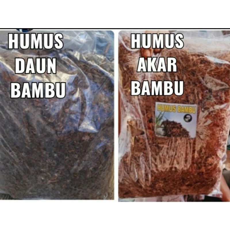 Jual Humus bambu media tanam daun bambu, kompos organik | Shopee Indonesia